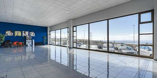 Bedrijf - San Isidro