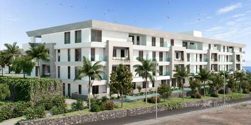 Land - Puerto de Santiago