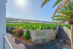 Land - Puerto de Santiago (75)