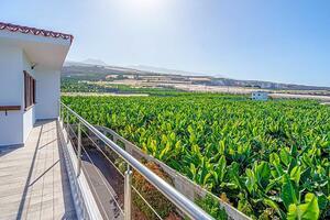 Land - Puerto de Santiago (11)