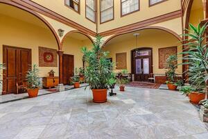 Вилла с 6 спальнями - La Orotava (3)