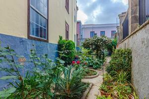 Вилла с 6 спальнями - La Orotava (27)