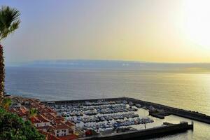 Business - Acantilados de Los Gigantes (2)