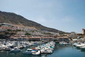 Business - Acantilados de Los Gigantes (3)