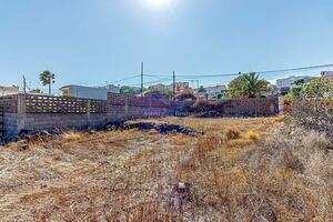 Land - Santa Cruz (4)