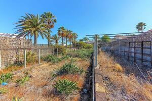 Land - Santa Cruz (7)