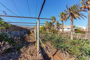 Land - Santa Cruz (8)