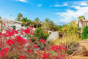 Maison de ville de 3 chambres -  Bahía del Duque - Villas del Duque (3)