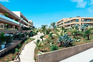 Appartamento di 2 Camere - El Médano - La Tejita - Sotavento Suites (2)