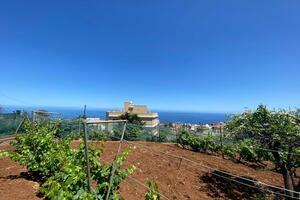 Grundstück - El Sauzal (1)