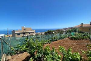 Grundstück - El Sauzal (2)