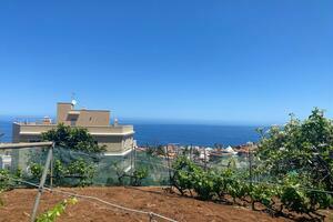 Grundstück - El Sauzal (0)