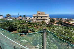 Grundstück - El Sauzal (5)