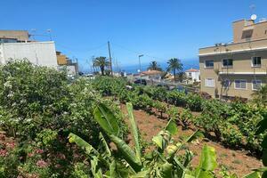 Grundstück - El Sauzal (7)