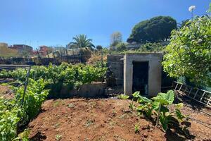 Grundstück - El Sauzal (8)