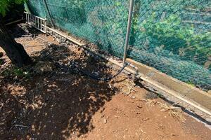 Grundstück - El Sauzal (9)