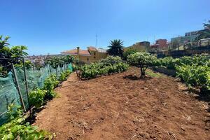 Grundstück - El Sauzal (10)