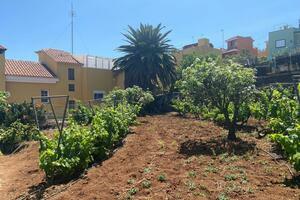 Grundstück - El Sauzal (11)