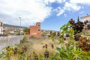 Land - Granadilla de Abona — photo 3 of 19