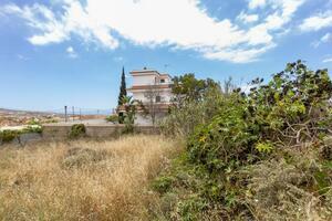 Land - Granadilla de Abona — photo 6 of 19