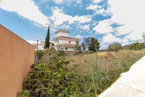 Land - Granadilla de Abona — photo 8 of 19
