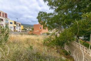 Land - Granadilla de Abona — photo 11 of 19
