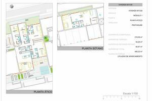 Terrain - Puerto de Santiago (14)