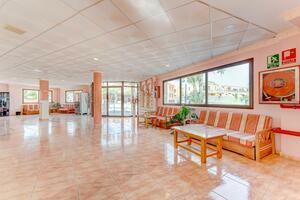 50 Bedroom Hotel - Costa del Silencio (22)