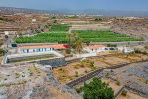 Estate - Guía de Isora (9)