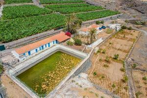 Estate - Guía de Isora (10)