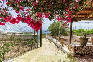 Estate - Guía de Isora (20)