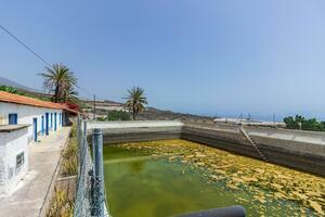 Estate - Guía de Isora (23)