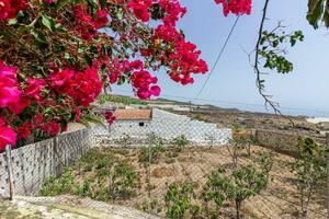 Estate - Guía de Isora (24)