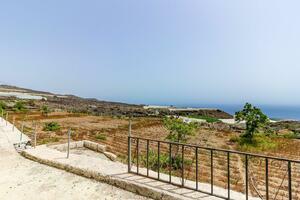 Estate - Guía de Isora (25)