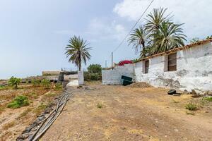 Estate - Guía de Isora (29)