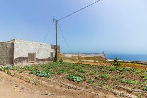 Estate - Guía de Isora (33)