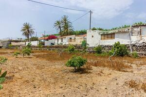 Estate - Guía de Isora (36)