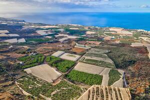 Estate - Guía de Isora (15)