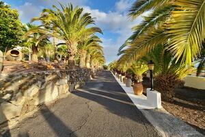 9 Bedroom Villa - Alcalá (11)