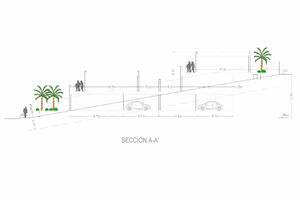 Land - Tabaiba Alta (15)