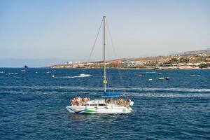 Business - San Eugenio Bajo - Puerto Colón (0)