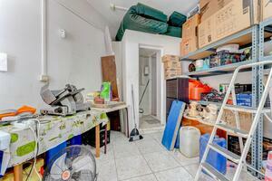 Business - San Eugenio Bajo - Puerto Colón (7)