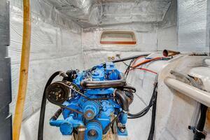 Business - San Eugenio Bajo - Puerto Colón (27)