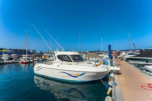 Business - San Eugenio Bajo - Puerto Colón (41)