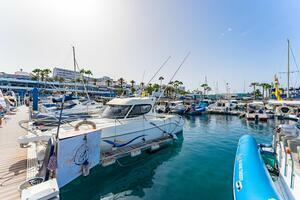 Business - San Eugenio Bajo - Puerto Colón (43)
