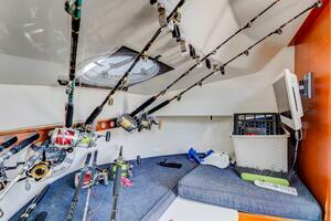 Business - San Eugenio Bajo - Puerto Colón (54)