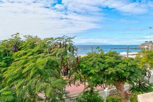 Seafront 3 Bedroom Townhouse - Torviscas Bajo - Lagos de Fañabé (25)