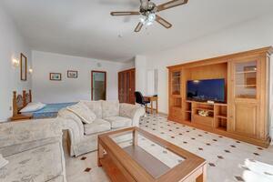 Studio - San Eugenio Alto - Florida Park (8)