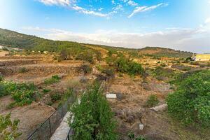 4 Bedroom House - Vilaflor (22)