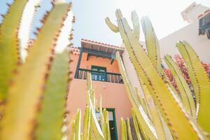 Reihenhaus mit 3 Schlafzimmern - Golf del Sur - San Blas (29)